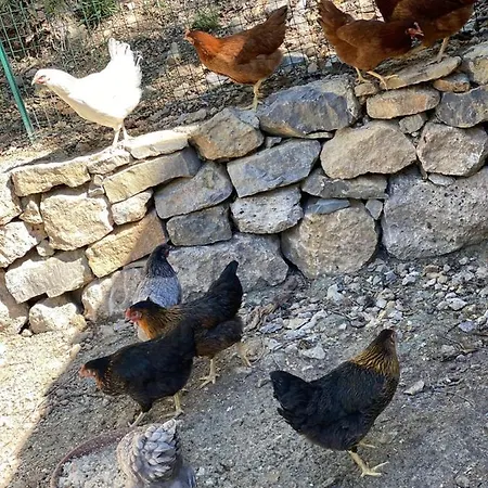 La Bastide Du Beausset-vieux Bed & Breakfast *